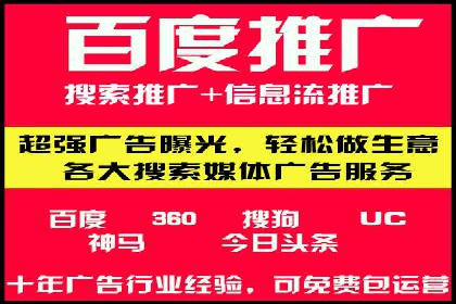 百度推广与SEO结合案例：提升网站排名的技巧